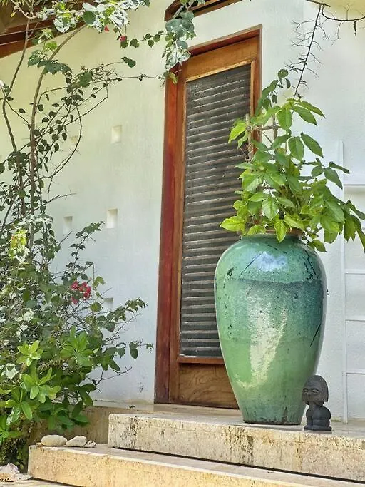 Apartamento Oceanfront Villa With Staff, Private Pool, Bbq Las Terrenas República Dominicana